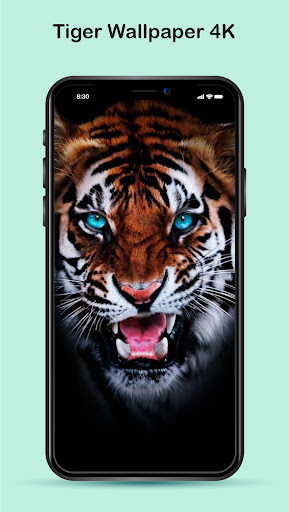 Android application Tiger Wallpaper 4K screenshort