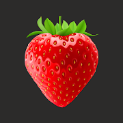 Strawberry vpn Pro- vpn connection proxy No Ads 🍓