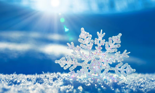 雪 動態壁紙(圖8)-速報App
