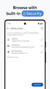 Google Chrome 7