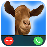 Crazy goat call icon