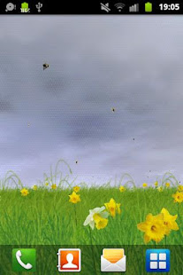 Daffodils Live Wallpaper(圖5)-速報App