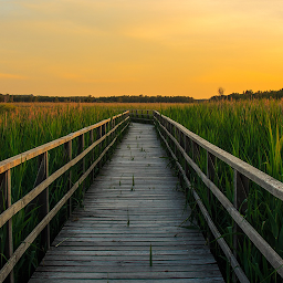 Icon image Relaxing Moments