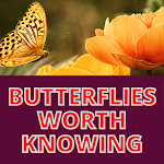 Cover Image of Download Butterflies Worth Knowing 1.0 APK