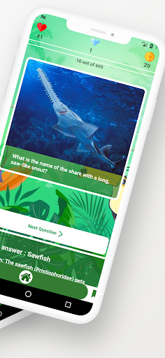 Animal Quiz Screen 2