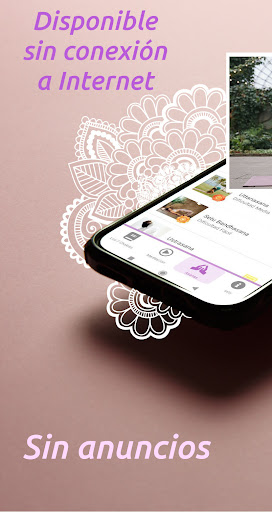 Meditación y Chakras Screen 3