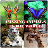 AMAZING ANIMAL IN THE WORLD icon