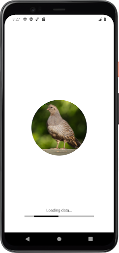 Android application Quail Sounds screenshort