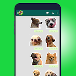 screenshot of Dogs Stickers memes WASticker