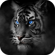 Roar Tiger Theme 1.1.5 Icon