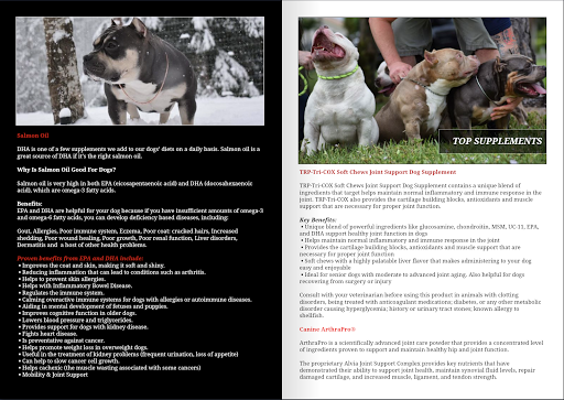 BULLY KING Magazine Screenshot 3 - AppWisp.com