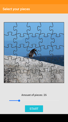 Bird Jigsaw Puzzle - Screenshot 4