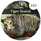 Tiger Sounds  and Ringtones icon