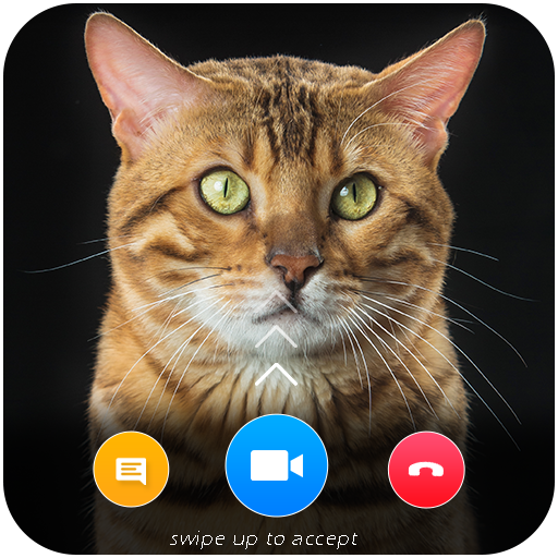 Cat Video Call Prank- Cat Game logo