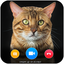 Imagem do ícone Cat Video Call Prank- Cat Game