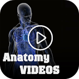 Medical Anatomy Videos icon