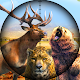 Animal hunting games