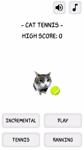 Cat Tennis Champion Simulator