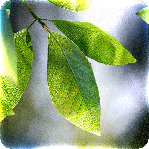 Fresh Leaves 1.9.6 Icon