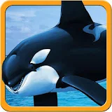Hungry Killer Orca Whale 3D icon