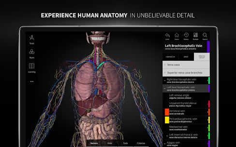 Anatomyka MOD APK- 3D Anatomy Atlas (Unlocked) Download 9