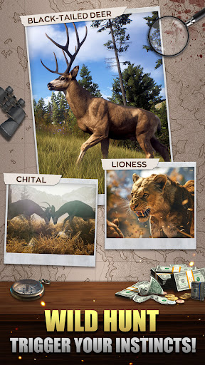 Animal Hunter : Wild Sniper screenshot 5