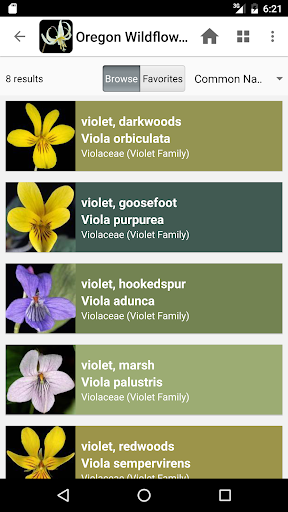 Screenshot of Oregon Wildflowers