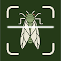 Insect Bug Identifier App