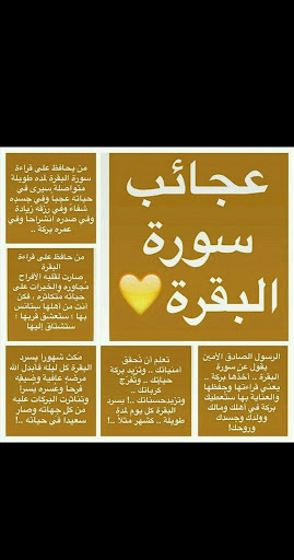 Android application سورة البقرة مكتوبة بدون نت screenshort
