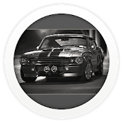 Mustang Shelby XPERIA™ theme