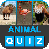 ZOOWI - Animal Quiz icon