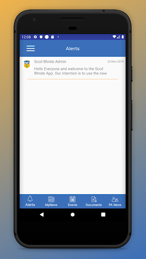 Scoil Bhride Naas Screen 2