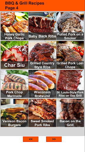 150 Barbecue and Grill Recipes Screen 3