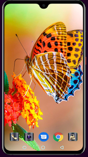 Butterfly Wallpaper 4K Latest 1.013 APK screenshots 3