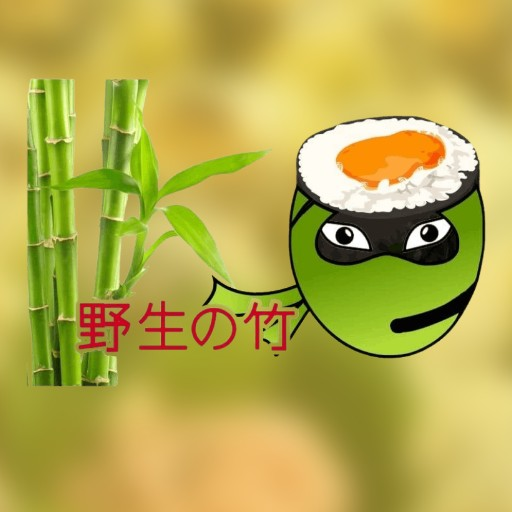 Dziki Bambus logo