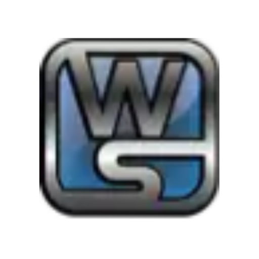 Wize Solutions logo