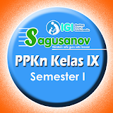 PPKn IX/1 SMP/MTs icon