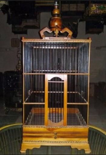 Bird Cage Model Screen 3
