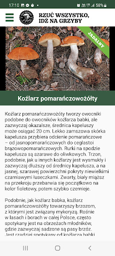 Rzuć wszystko, idź na grzyby Screen 2