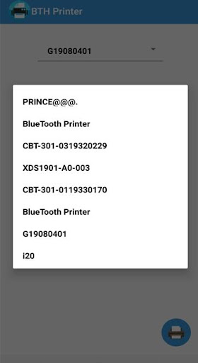 BTH Printer Screen 3