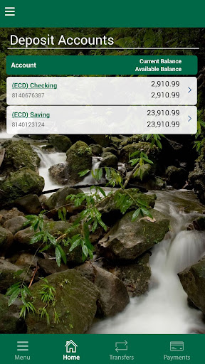 NBD MoBanking Screen 2