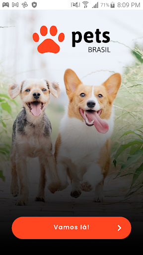 Android application Pets Brasil screenshort