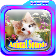 Animal Sounds