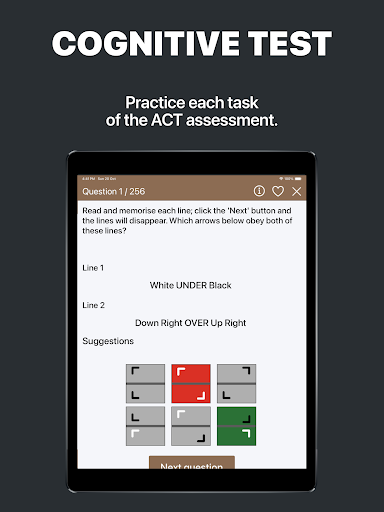 Screenshot of British Army Cognitive Test