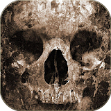 Death Skull Theme icon