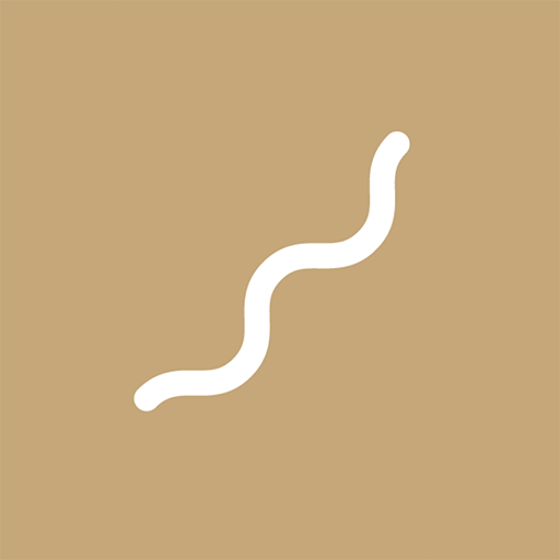 Flow Studio logo