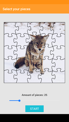 Wolf Puzzle Screen 3