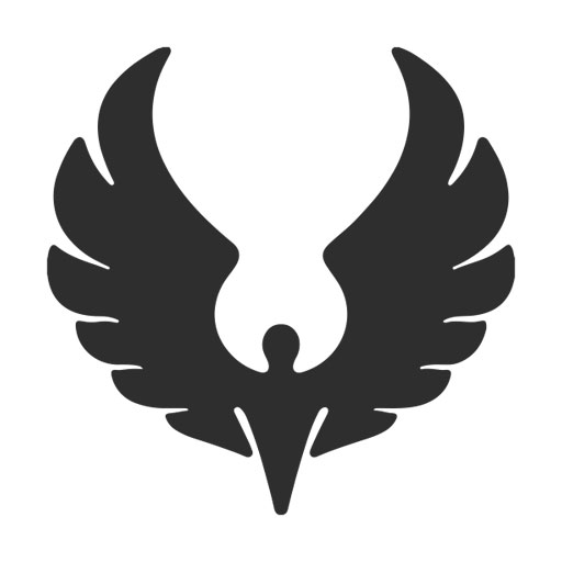 DroidFleetRiw - old logo