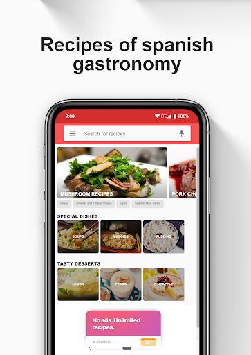 Screenshot of Spanish Recipes