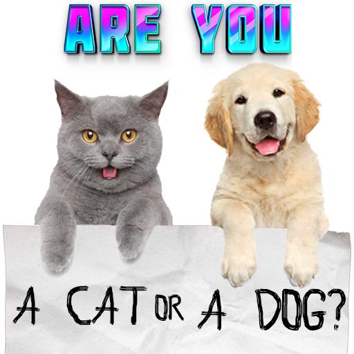 Test what cat or dog am I? Ani  Icon
